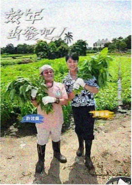 综艺节目下载 歌手2026 音乐